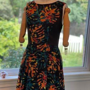 Kensie Multicolor Tropical Print Sleeveless Slimming A Line Mini Dress Size M